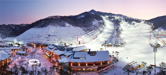 image_502012