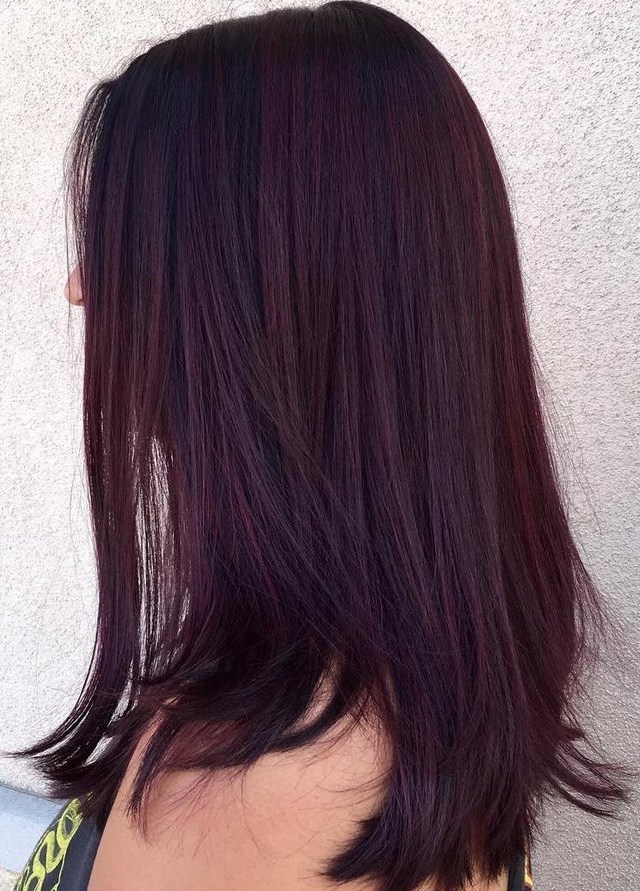 1513165525 4 dark burgundy and violet hair