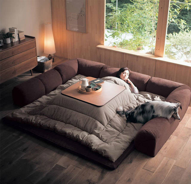 https://image.sistacafe.com/images/uploads/content_image/image/51563/1446084792-kotatsu-japanese-heating-bed-table-5.jpg