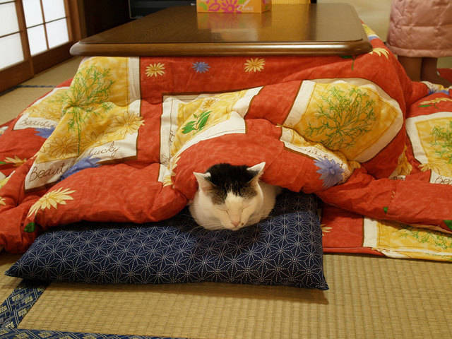https://image.sistacafe.com/images/uploads/content_image/image/51566/1446084851-kotatsu-japanese-heating-bed-table-10.jpg