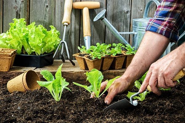 1514100536 organic gardening tips