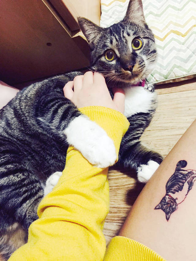 https://image.sistacafe.com/images/uploads/content_image/image/52299/1446435264-cat-tattoo-illegal-outlaw-tattoo-artists-south-korea-7.jpg