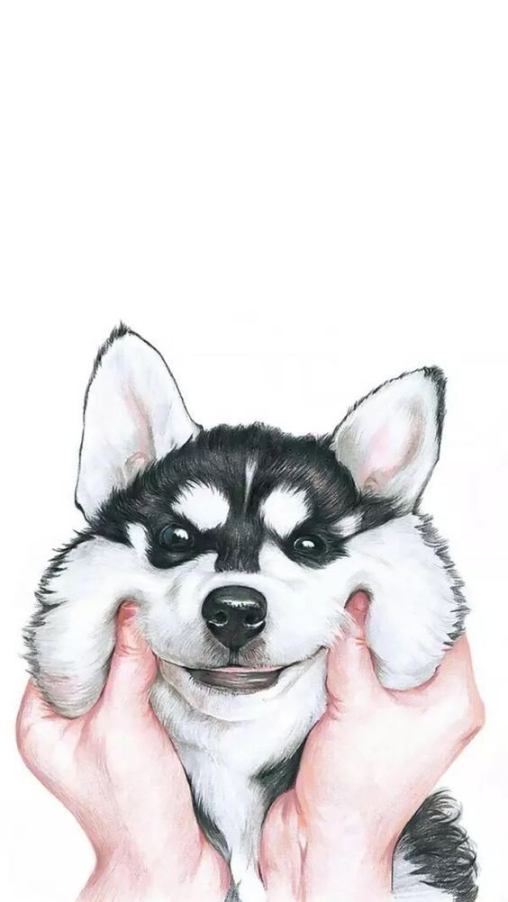 image_525346
