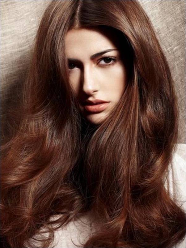 https://image.sistacafe.com/images/uploads/content_image/image/52760/1446529784-cool-brown-hair-color.jpg