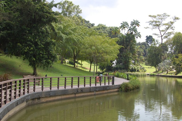 1515127123 singapore botanic gardens