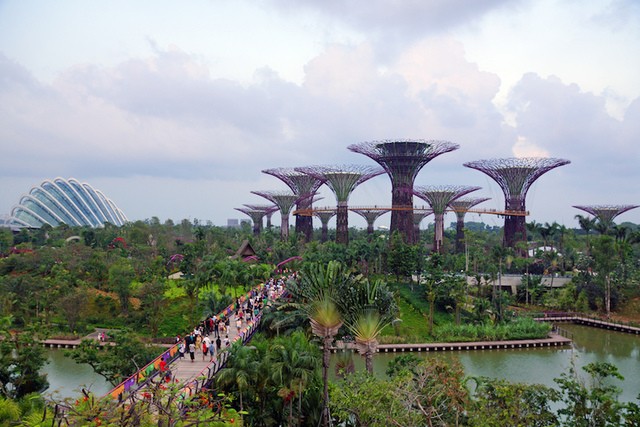 1515127249 gardens by the bay