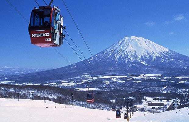 image_530001