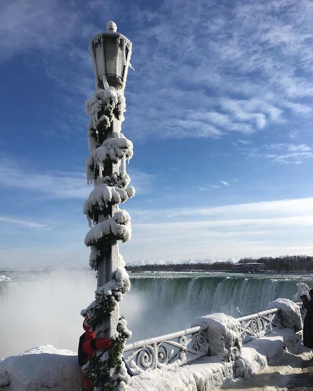 image_536948
