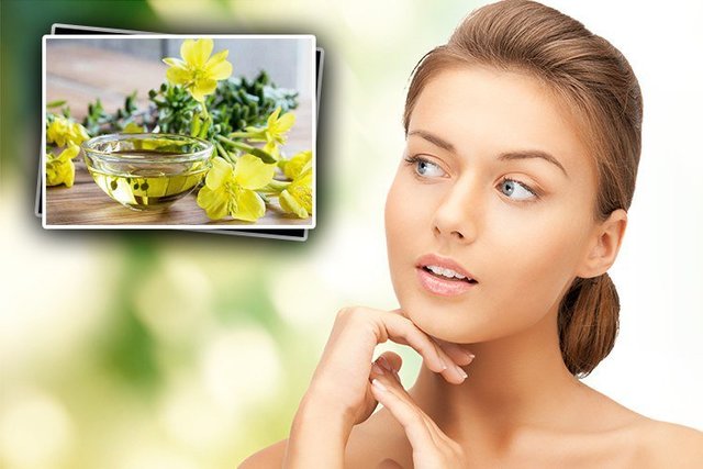 1516257760 benefits of evening primrose oil