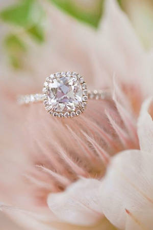 1447167214 cushion diamond engagement rings