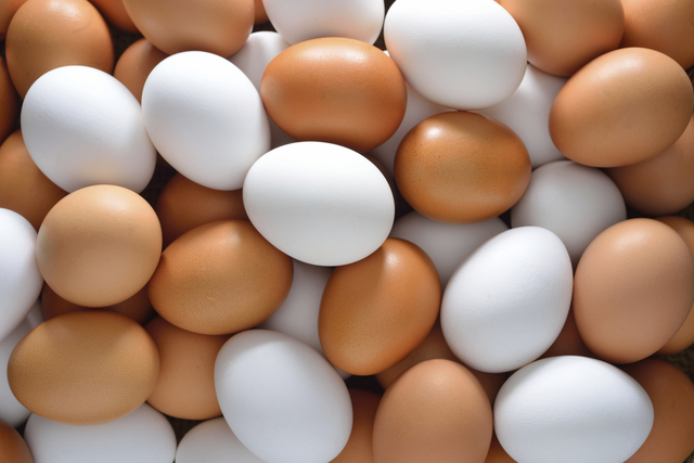 1432555448 eggs