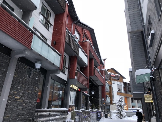 1519394684 photo 31.01.18 15 35 07