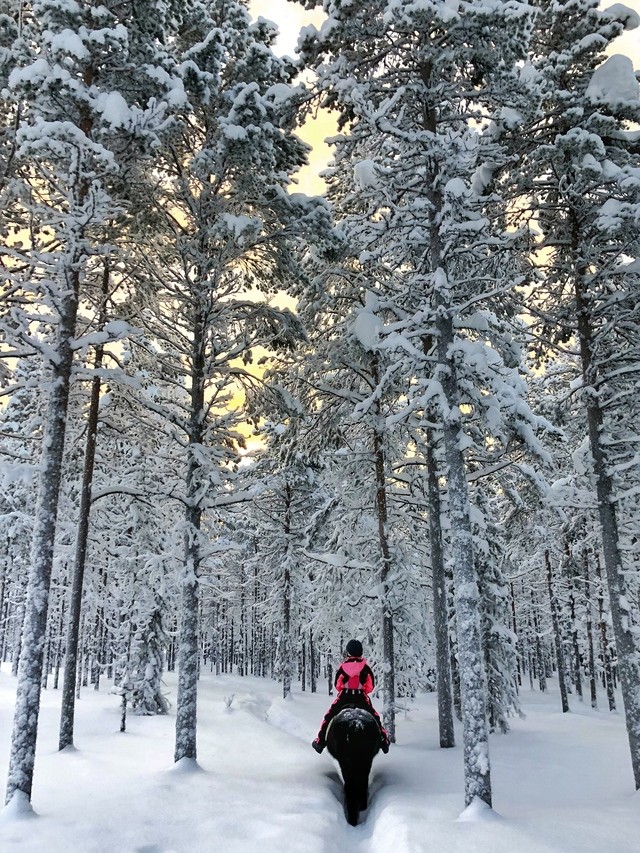 1519396900 photo 29.01.18 18 28 24
