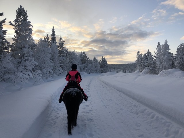 1519397214 photo 29.01.18 18 47 34