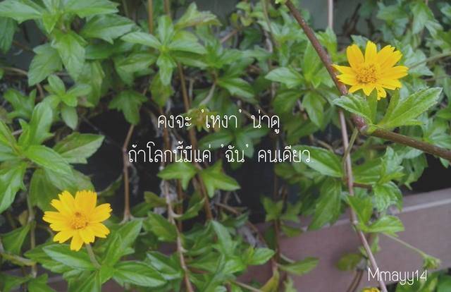 image_57992