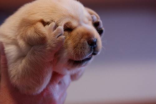 image_58176