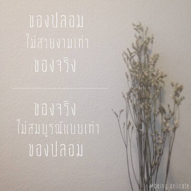 image_58502