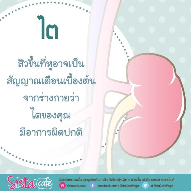 image_587480