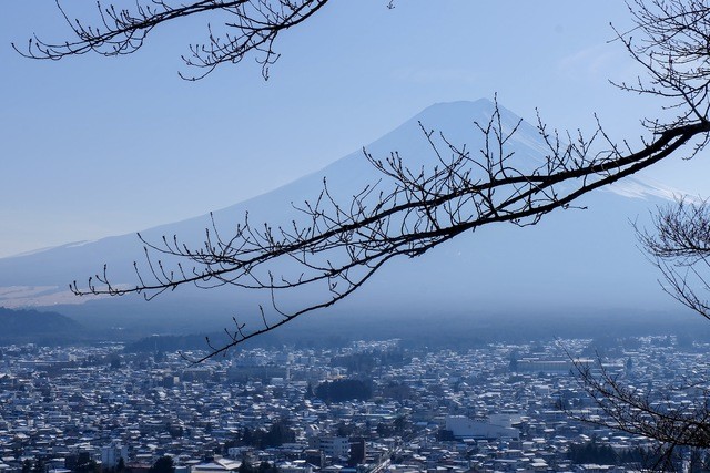 image_591075