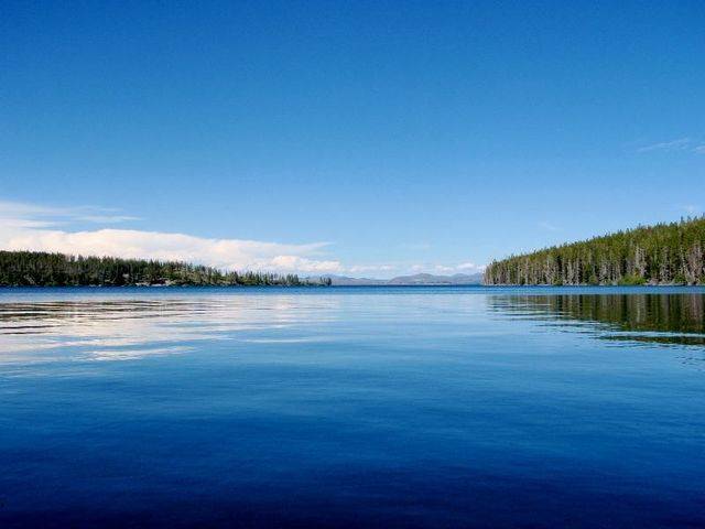 image_59605
