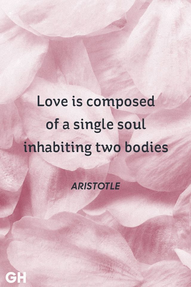 1524405693 aristotle love quote
