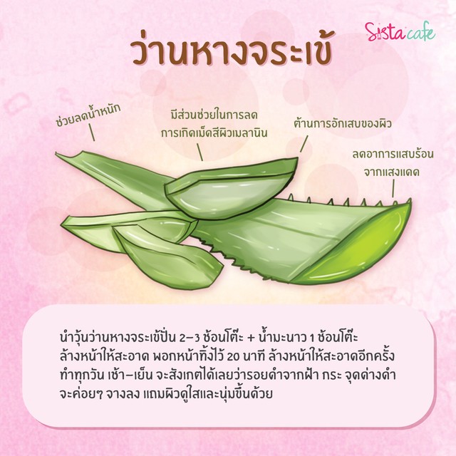 1524579758 herb 02
