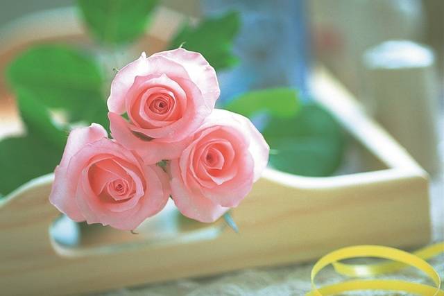 image_63278