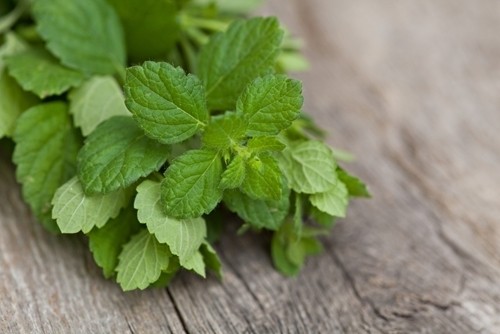 1525434701 3 creative ways to integrate fresh mint into your cooking 1106 622073 0 14103708 500