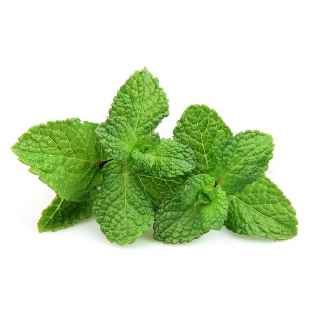1527177616 3193188 two branches of fresh mint on a white background