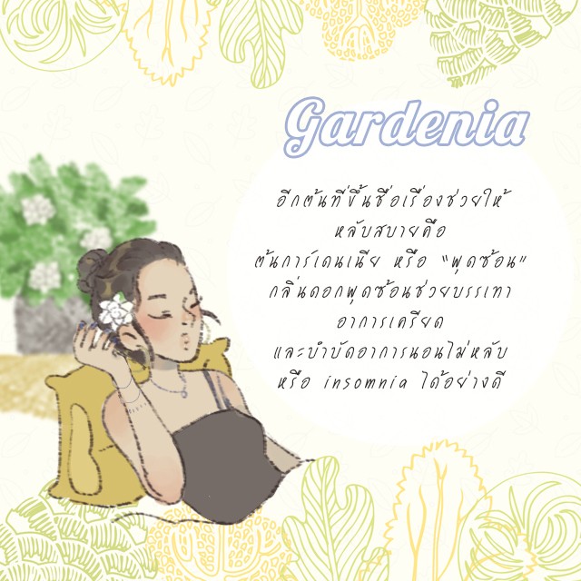 1527429046 4 gardenia