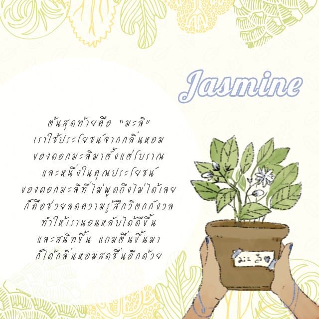 1527429240 5 jasmine