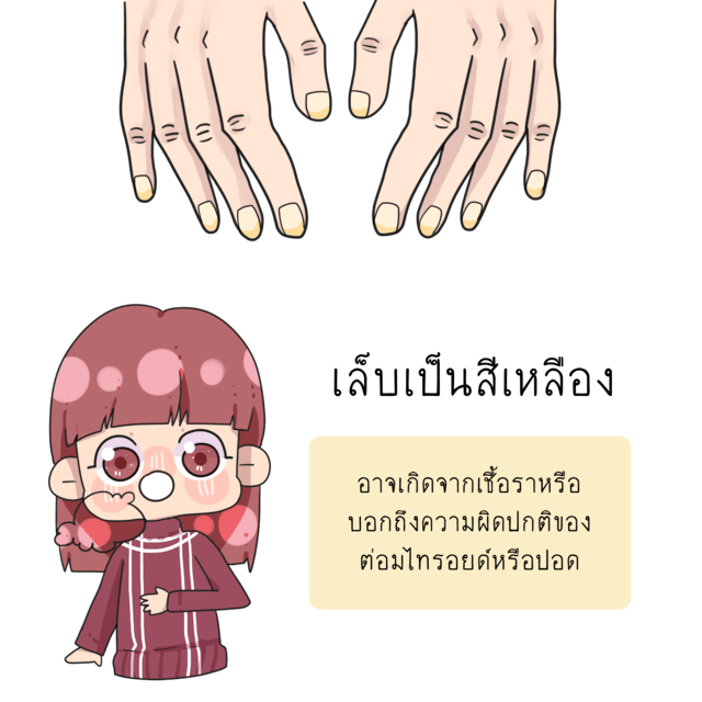 1527435009 2