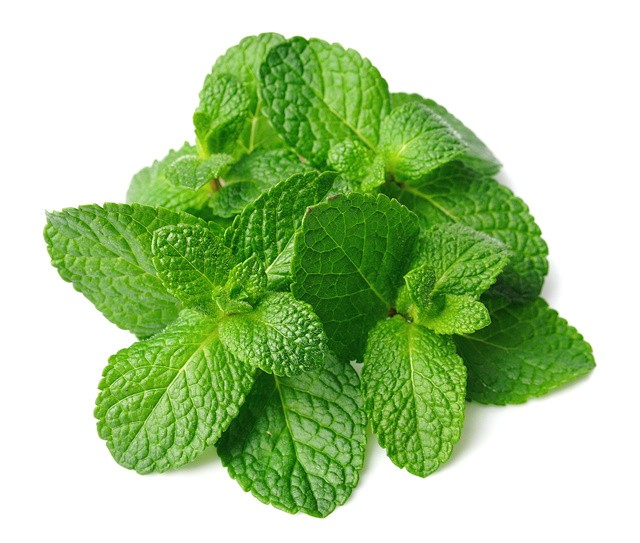 1527436975 savees mint leaves 50g