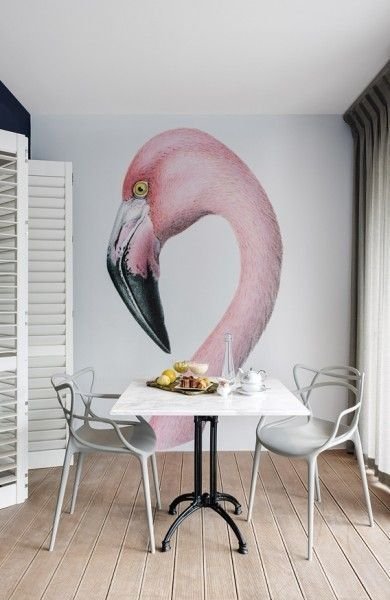 1528644590 flamingo on a wall in a small space