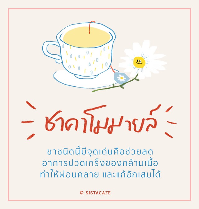 1529057480 sistacafe668  5