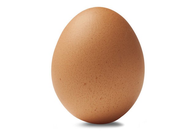 1529229722 silo brown egg