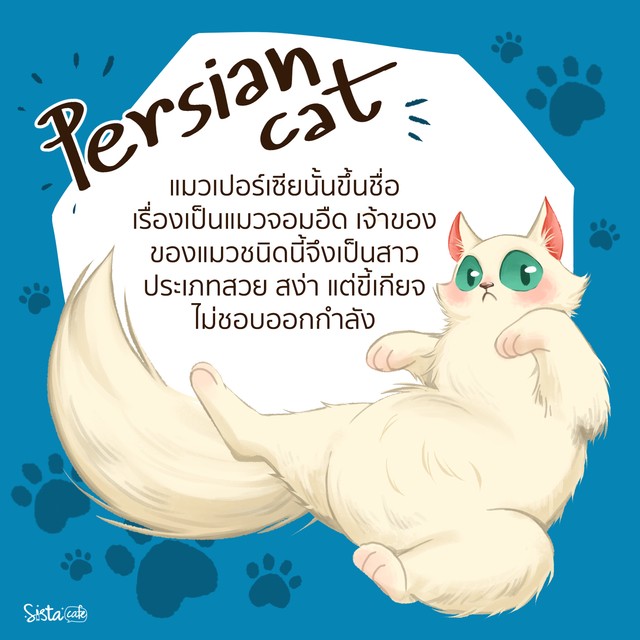 1530526117 01 2