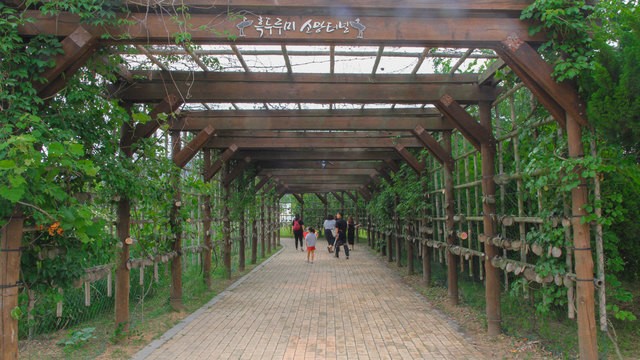 image_698541