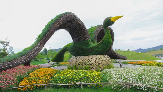 image_698551