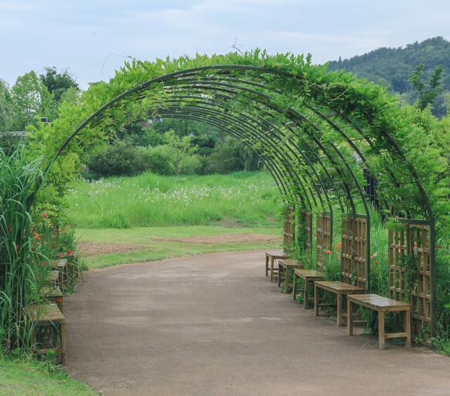 1530860425 garden3