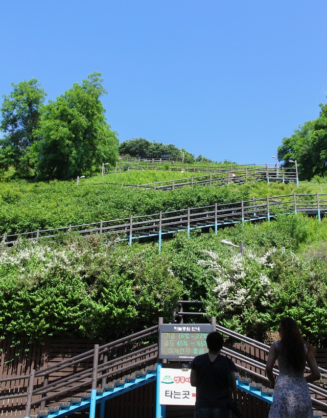 image_698884