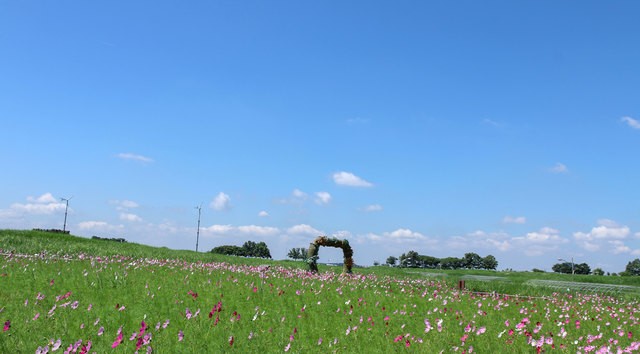 image_698896
