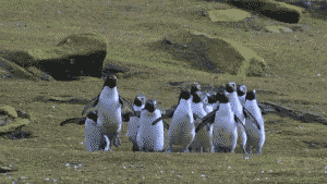 image_710646