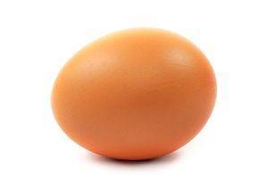 1450939902 eggs on white