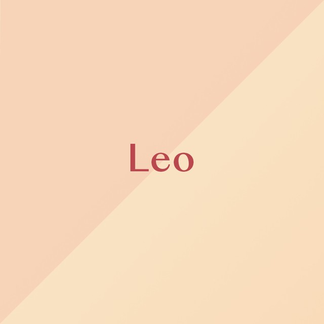1532419385 web leo