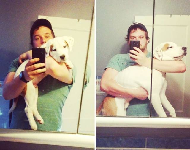 1450958781 89105 900 1450813258 xx before and after dogs growing up 2  880
