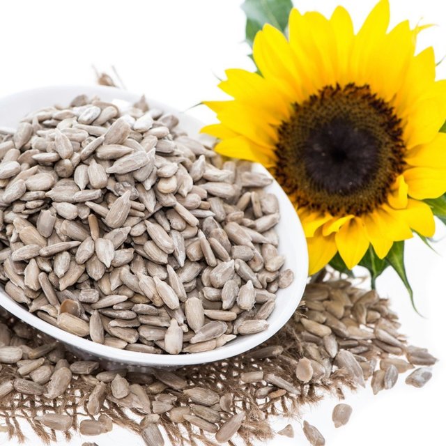 1533786324 sunflower seed 1024x1024