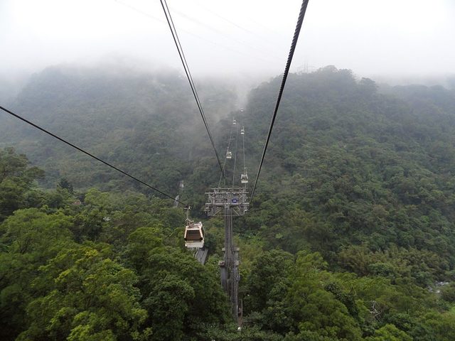 image_742738