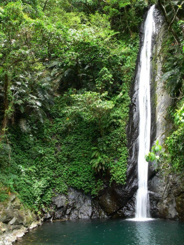 image_742744