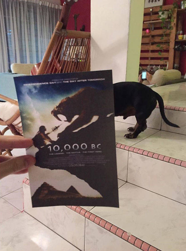 1452065228 instagrammer combines famous movie posters with real life puppies 2  700